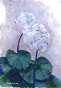 Two white flowers